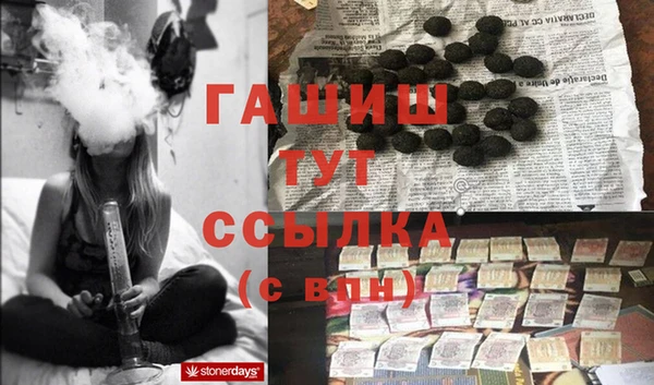 спиды Гусев