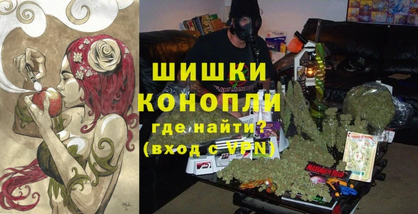 спиды Гусев