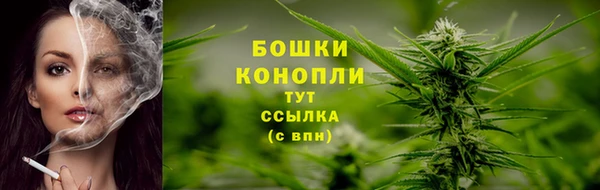 спиды Гусев