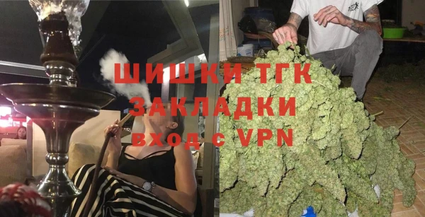 спиды Гусев