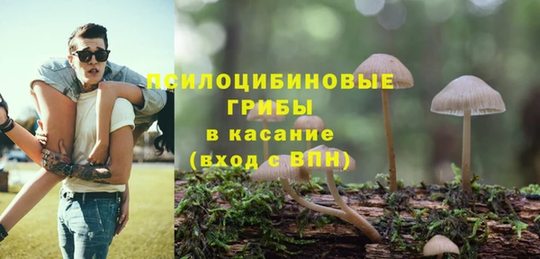 трава Гусь-Хрустальный