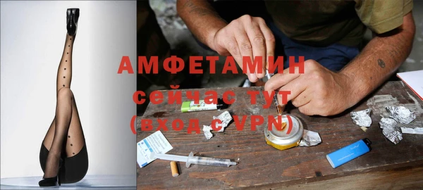 трава Гусь-Хрустальный
