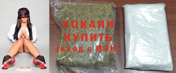 спиды Гусев